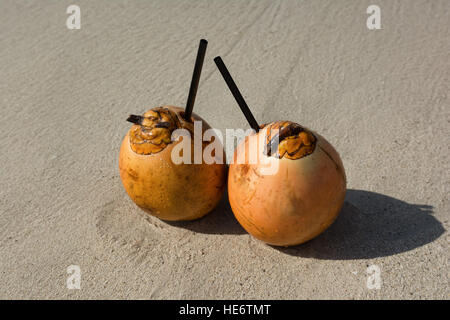 Two coconuts with drinking straws on a beach Stock Photo