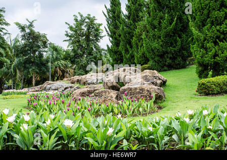 Landscape stones and flowers Stock Photo