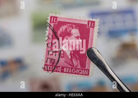 An old  Belgian postage stamp. Stock Photo