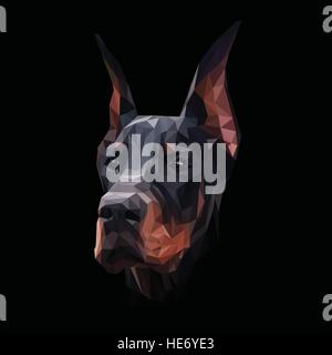 Doberman dog animal low poly design. Triangle vector illustration. Stock Vector