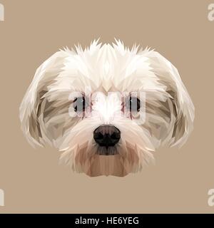 Maltese dog animal low poly design. Triangle vector illustration. Stock Vector