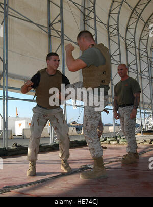 071222-F-6318R-343 CAMP LEMONIER, Djibouti – Airman 1st Class Joseph M. Cawood (left) executes the counter to the round kick on Marine Lance Cpl. Joshua T. Scrivner (center) as Marine Staff Sgt. Jody G. Armentrout (right) watches to ensure the Airman correctly accomplishes the technique. Airman Cawood is participating with Marines in the sustainment course for green belt during the Marine Corps Martial Arts Program while deployed to the Horn of Africa. In order to receive their green belts, they will train and practice more than 128 hours. Airman Cawood, a Buxton, Maine, native, is an aerospac Stock Photo