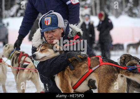 U.S. Air Force Maj. Roger Lee, a 60th Aerospace Medicine Squadron bioenvironmental engineering flight commander assigned to Travis Air Force Base, Calif., prepares Morgan, a sled dog on Team Jenssen, for the Iditarod sled dog race March 10, 2015, in Fairbanks, Alaska. Lee trained with dog sled teams in order to gain experience toward becoming a competitor in future races.  Senior Airman Peter Reft Stock Photo