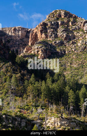 The Mogollon Rim in Coconino National Forest provides a sweeping ...
