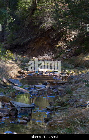 A small creek flowing past an eroded edge of a bank near the Mogollon Rim. Coconino National Forest, Arizona Stock Photo