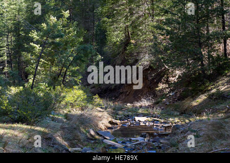 A small creek flowing past an eroded edge of a bank near the Mogollon Rim. Coconino National Forest, Arizona Stock Photo