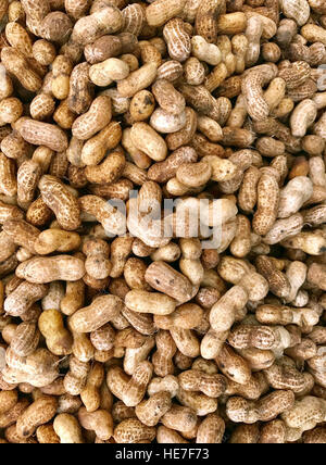 Several roasted nuts in a bin make a peanuts background Stock Photo