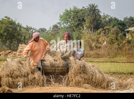 The villagers r hauling their harvested crops in the machine. Stock Photo