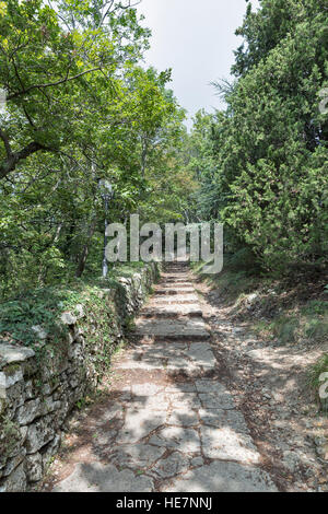 Stone road through the woods to Montale tower in San Marino. Stock Photo