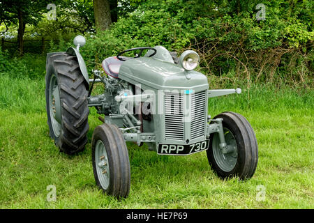 A Vintage 1953  Ferguson TEF20 Diesel Tractor, Registration, RPP 730, at the 2014 Vintage Nostalgia Show, Stockton, Wiltshire, United Kingdom. Stock Photo