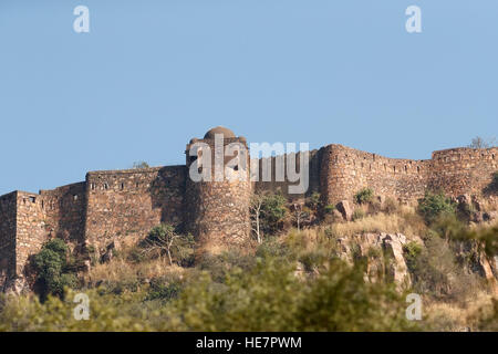 Scenery at the Ranthambore National Park in Rajasthan, India Stock Photo