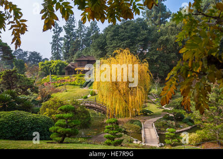 The beautiful fall colors of the Japanese Gardens in the Huntington Library. Stock Photo