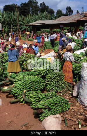 Bunches of cooking bananas (Musa) for sale on the market in Mwika, Kilimanjaro region, Tanzania Stock Photo