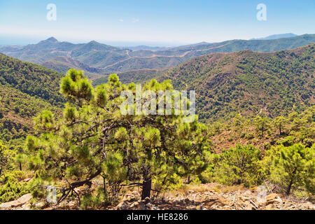 Beautiful landscape with fields and mountains in Andalucia, Spain Stock Photo