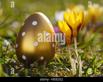 crocus with easter eggs on meadow Stock Photo