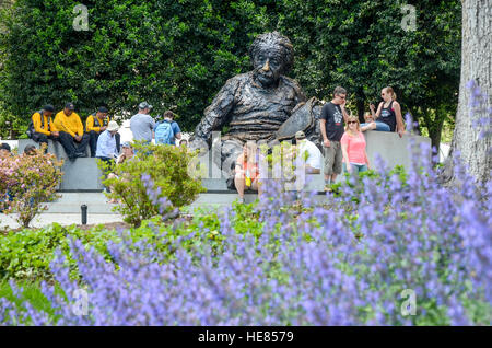 Bronze statue of Albert Einstein is in front of the National Academy of Sciences in Washington DC. Stock Photo
