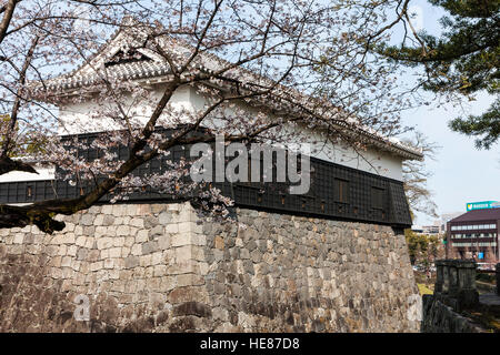Japan, Kumamoto castle, Ginnan-jo. Corner Bagu Yagura, turret with Ishigaki stone walls and some cherry blossom. Daytime. Stock Photo