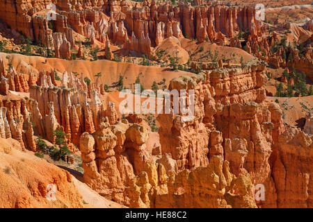 Bryce canyon national park in Utah, USA Stock Photo