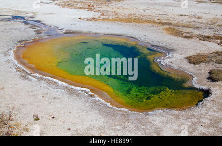 Colorful hot water pool in the Yellowstone National park, USA Stock Photo
