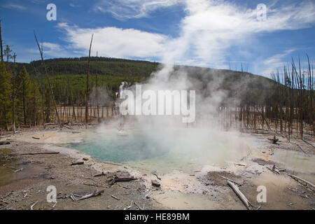 Norris geyser basin in the Yellowstone National park, USA Stock Photo