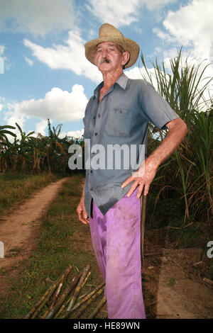 Old farm labourer in a sugarcane field, Vinales, Pinar del Río Province, Cuba, Latin America Stock Photo