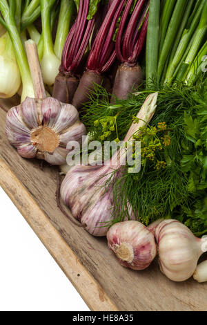 Fresh summer vegetables - garlic,dills,onion s,red beet,parsley. Stock Photo