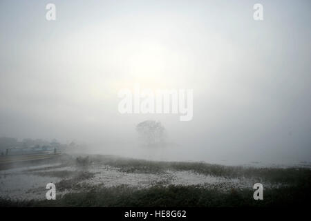 Kathmandu, Nepal. 18th Dec, 2016. A view Taudaha lake during a misty morning as the sun rises over at the Taudaha Wetland Lake, Kirtipur, Kathmandu, Nepal on Sunday, December 18, 2016. Taudaha is one of the biggest rest place for the beautiful endangered migratory birds from the southern parts of south-east Asia as well as from Africa and Australia. Taudaha is popular destination for birdwatchers and worshipers. © Narayan Maharjan/Pacific Press/Alamy Live News Stock Photo