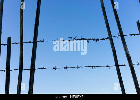 barbed wire on the background of blue sky Stock Photo