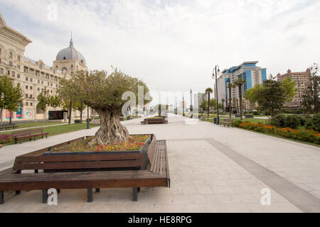 One of parks capital of Baku Stock Photo