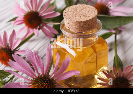 Fragrant essence of Echinacea purpurea macro in a glass bottle. horizontal Stock Photo