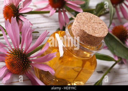 Fragrant essence of Echinacea purpurea closeup in a glass bottle. horizontal Stock Photo