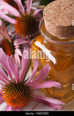 Essence of Echinacea purpurea macro in a glass bottle. vertical Stock Photo