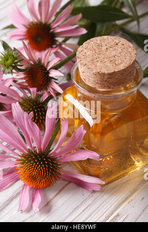 Essential oil of Echinacea purpurea closeup in a glass bottle. vertical Stock Photo