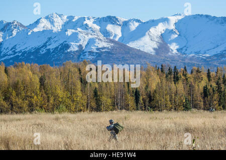 A paratrooper assigned to 4th Infantry Brigade Combat Team (Airborne), 25th Infantry Division, U.S. Army Alaska, proceeds to the rally point after conducting a helicopter jump on Malemute drop zone, Joint Base Elmendorf-Richardson, Alaska, Sept. 24, 2015. The paratroopers conducted the training to refine their airborne insertion skills and maintain operational readiness. Alejandro Pena) Stock Photo