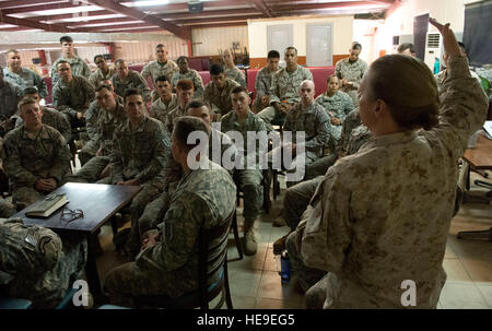 U.S. Marine Corps Sgt. Maj. Bonnie Skinner, Combined Joint Task Force-Horn of Africa command senior enlisted leader, speaks to Marine Corps corporal's course students during a visit July 16, 2014, at Camp Lemonnier, Djibouti. Skinner spoke to the students about professional development and what it means to be a leader.  Staff Sgt. Leslie Keopka) Stock Photo