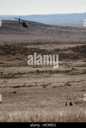 A UH-1N helicopter from the 37th Helicopter Squadron after tactically inserting Airmen from the 90th Security Forces Group Tactical Response Force Nov. 7, 2014, during a training exercise at launch facility A-06. The 37th HS works with the 90th SFG to provide air capabilities for the missile field.  Airman 1st Class Brandon Valle) Stock Photo