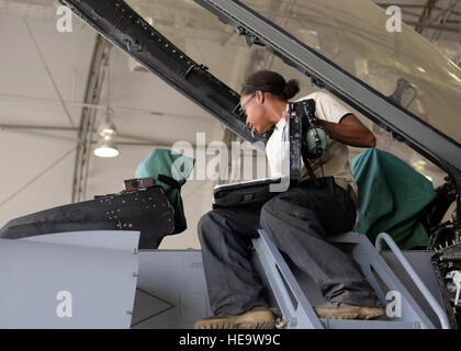 U.S. Air Force Senior Airman Kristina Manning, 455th Expeditionary Aircraft Squadron F-16 maintainer, inspects the inside of the cockpit during a phase inspection July 7, 2015, at Bagram Air Field, Afghanistan. The phase inspection team, who has been deployed to BAF for two months, is working on their 12th phase inspection that occurs after a jet has reached 400 flying hours.  Senior Airman Cierra Presentado Stock Photo