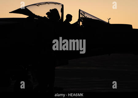 U.S. Marine Corps Cpl. Jake Moore, Marine Attack Squadron 214, Camp Pendleton, Calif., performs a pre-flight check on an AV-8B Harrier, Feb. 13, 2015, during Integrated Training Exercise 2-15 at Marine Corps Air Ground Combat Center (MCAGCC) Twentynine Palms, Calif. MCAGCC conducts relevant live-fire combined arms training, urban operations and joint/coalition level integration training that promotes operational forces readiness.  Tech. Sgt. Daniel St. Pierre Stock Photo