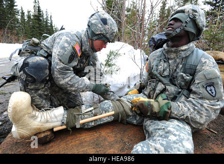 Parachute infantryman 1st Lt. Patrick Nguyen, a native of Houston, Texas, assigned to Headquarters and Headquarters Company 1st Battalion (Airborne) 501st Infantry Regiment, applies a makeshift splint to the leg of  Pfc. Althilio Wentworth, assigned to C Troop 1st Squadron (Airborne)  40th Cavalry Regiment, a native of Lithonia, Ga., during the Expert Infantryman Badge qualification on Joint Base Elmendorf-Richardson, Alaska, April 24, 2013. The Expert Infantryman Badge was approved by the Secretary of War Oct. 7, 1943, and is currently awarded to U.S. Army personnel who hold infantry or speci Stock Photo