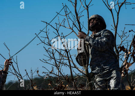 U.S. Army Spc. Anthony Holt, a computer technologist with the 82nd Airborne Division, retrieves part of his parachute from a tree during Joint Operational Access Exercise 13-2 at Camp Mackall, N.C., Feb. 24, 2013. A JOAX is designed to enhance service cohesiveness between U.S. Army and Air Force personnel, allowing both services an opportunity to properly execute large-scale heavy equipment and troop movement.  Airman 1st Class Kyle Russell Stock Photo