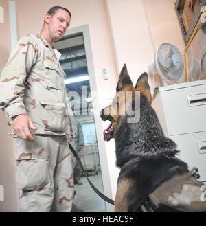 CAMP LEMONNIER, Djibouti (Sept. 13, 2011) Rado, an 8-year-old German Shepherd military working dog, awaits further instruction from U.S. Navy Petty Officer 3rd Class Arthur Vaughan, Camp Lemonnier master-at-arms and military dog handler, at the Camp Lemonnier, Djibouti, post office, September 13. The duo searched the post office for preplaced contraband during a detection training exercise designed to keep the military working dogs proficient in detection.  Staff Sergeant Stephen Linch) Stock Photo