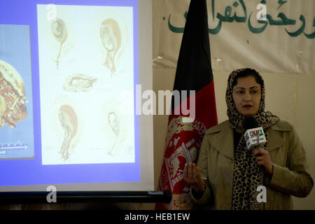 An Afghan obstetrics and gynocology doctor gives a medical lecture about child birth during the first-ever Zabul province medical conference. The conference was held to educate local doctors and midwives on current medical procedures and how to better improve the Afghan health system. Dr. Suraya Dalil, Afghanistan minister of public health, was the featured guest speaker. Stock Photo