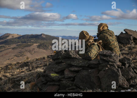 Marines with Company L, 3rd Battalion, 4th Marine Regiment, provide over watch security during Mountain Warfare Training at Marine Corps Mountain Warfare Training Center, Bridgeport, Calif., Oct. 25, 2016. With limited cover and concealment, Marines built walls around their post from stones that littered the mountain top. Stock Photo