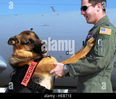 Capt. Greg Auerbach, 54th Air Refueling Squadron KC-135 Stratotanker instructor pilot, and his Search and Rescue K-9 German Shepherd, Ronnie, play on the flightline, June 15, 2011. Capt. Auerbach and Ronnie were one of three K-9 Search and Rescue handler volunteer teams from the Central Oklahoma Search and Rescue who found the body of the missing Piedmont, Okla., boy, May 26, 2011. Capt. Auerbach has been involved with search and rescue for 17 years, eight of those spent prior to joining the Air Force. He did not become a K-9 handler until 2009 while he was stationed at McConnell Air Force Bas Stock Photo