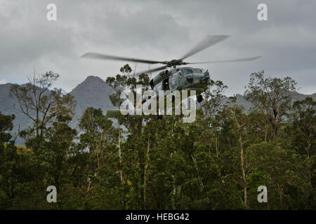 A U.S. Navy SH-60B Seahawk anti-submarine warfare helicopter, assigned to Helicopter Anti-Submarine Squadron Light 37 (HSL-37) from Marine Corps Air Station Kaneohe Bay, Hawaii, hovers over a landing zone while conducting joint hoist casualty evacuation training with soldiers from Charlie Company, 1st Battalion, 14th Infantry Regiment, 2nd Stryker Brigade Combat Team, 25th Infantry Division, Feb. 5, 2013, during exercise Warrior Spear at Schofield Barrack in Wahiawa, Hawaii. Warrior Spear is tough realistic training critical to soldier readiness. The exercise prepares company leaders to proble Stock Photo
