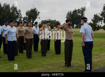 Members of the Women’s History Month retreat ceremony greet U.S. Air Force Lt. Col. Sarah Babbitt, 18th Security Forces Squadron commander, as she prepares to command the formation March 31, 3016, at Kadena Air Base, Japan. Retreat is a long-standing tradition honoring the flag and signaling the end of the duty day. (U.S. Air Force photo by Airman 1st Class Lynette M. Rolen) Stock Photo