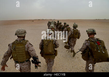 U.S. Marine Corps members assigned to Lima Company, 3rd Battalion, 2nd Marines, 26th Marine Expeditionary Unit, make their way across the Qatari desert to get to their living quarters after arriving at Camp Al-Galail for Exercise Eagle Resolve 2013, April 21. Lima Company Marines were transported from the USS San Antonio (LPD 17) to Camp Al-Galail on a Marine CH-53 Super Stallion helicopter. Eagle Resolve is an annual, multi-national naval, land and air exercise designed to enhance regional cooperative defense efforts of the Gulf Cooperation Council and U.S. Central Command. Lima Company will  Stock Photo