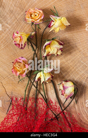 Withered faded sad roses on wooden background as studio close up and symbolic image for time, life and death Stock Photo