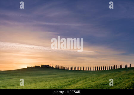 Typical green Tuscany landscape in Bagno Vignoni, Val d’Orcia with a farm on a hill, fields and cypresses at sunrise Stock Photo