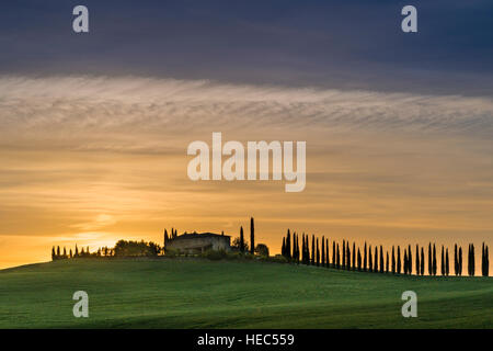 Typical green Tuscany landscape in Bagno Vignoni, Val d’Orcia with a farm on a hill, fields and cypresses at sunrise Stock Photo